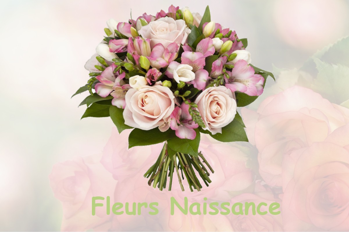 fleurs naissance LA-CROIX-COMTESSE