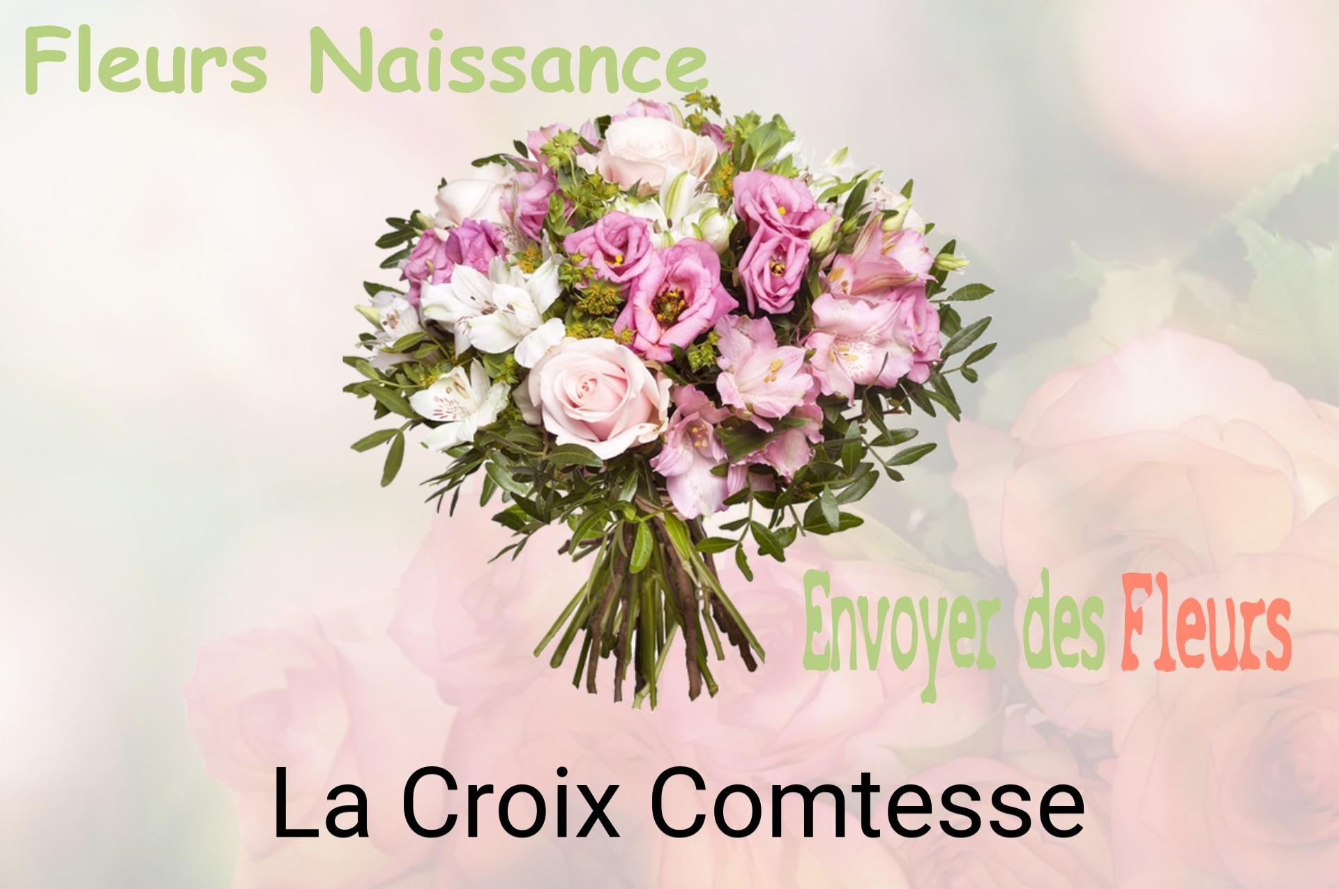 Bouquet de fleurs de naissance livré à La Croix-Comtesse